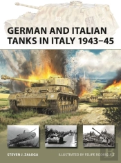 German And Italian Tanks In Italy 1943â€“45