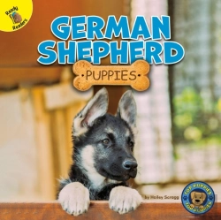 Bertrand.pt - German Shepherd Puppies
