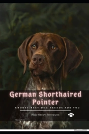 German Shorthaired Pointer