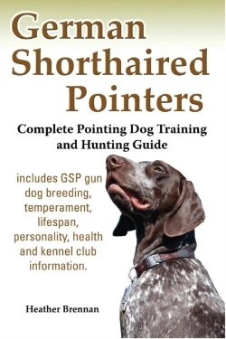 Bertrand.pt - German Shorthaired Pointers
