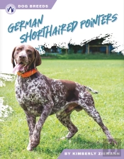 German Shorthaired Pointers