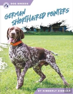 Bertrand.pt - German Shorthaired Pointers