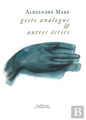 Gestes Analogues Et Autres Écrits