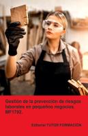 Gestion De La Prevencion De Riesgos Laborales En Pequeños Ne