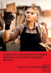 Gestion De La Prevencion De Riesgos Laborales En Pequeños Ne
