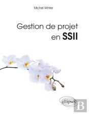 Gestion De Projet En Ssii (Société De Service En Ingénierie Informatique)