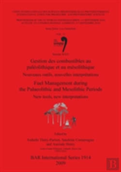 Bertrand.pt - Gestion Des Combustibles Au Paleolithique Et Au Mesolithique / Fuel  Management During The Palaeolithic And Mesolithic Periods