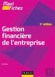 Gestion Financière De L'Entreprise (3e Édition)