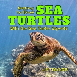 Bertrand.pt - Getting To Know Sea Turtles