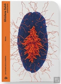 Bertrand.pt - Ghizlane Sahli - Plasticienne
