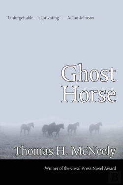 Bertrand.pt - Ghost Horse