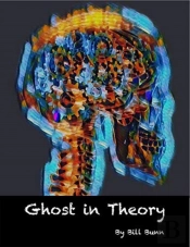 Ghost In Theory