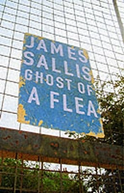 Ghost Of A Flea