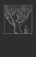 Ghosts, Monsters, And Demons Of India