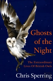 Ghosts Of The Night