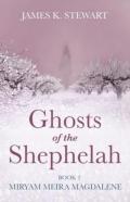 Ghosts Of The Shephelah, Book 2