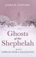 Ghosts Of The Shephelah, Book 2