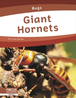 Bertrand.pt - Giant Hornets