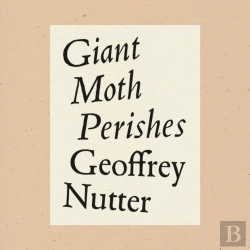 Bertrand.pt - Giant Moth Perishes