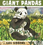 Giant Pandas