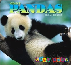 Bertrand.pt - Giant Pandas