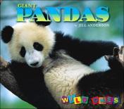 Giant Pandas