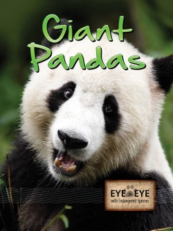 Bertrand.pt - Giant Pandas