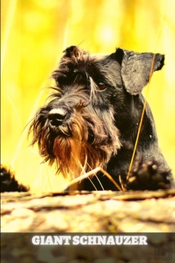 Bertrand.pt - Giant Schnauzer