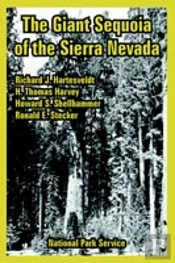 Giant Sequoia Of The Sierra Nevada