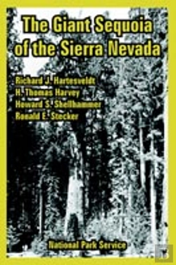 Bertrand.pt - Giant Sequoia Of The Sierra Nevada