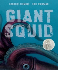 Bertrand.pt - Giant Squid