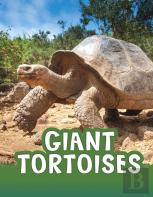 Giant Tortoises