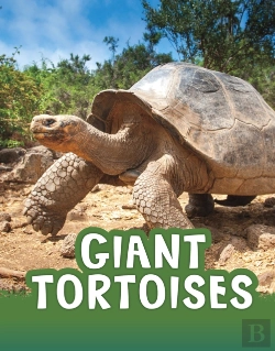 Bertrand.pt - Giant Tortoises