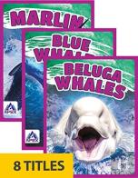 Giants Of The Sea (Set Of 8)
