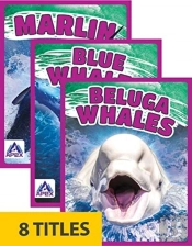 Giants Of The Sea (Set Of 8)