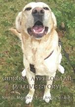 Gideon - A Yellow Lab