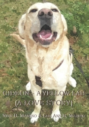 Gideon - A Yellow Lab