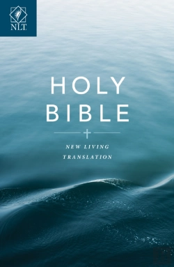 Bertrand.pt - Gift And Award Bible