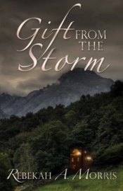 Gift From The Storm