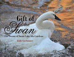 Gift Of The Swan