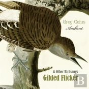 Gilded Flicker And Other Birdsongs