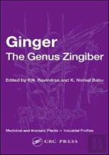 Ginger
