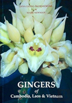 Gingers Of Cambodia, Laos And Vietnam