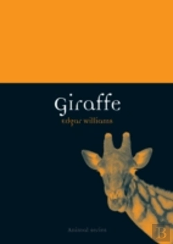 Bertrand.pt - Giraffe