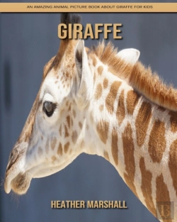 Bertrand.pt - Giraffe