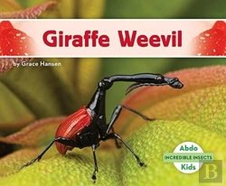 Bertrand.pt - Giraffe Weevil