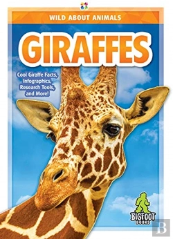 Bertrand.pt - Giraffes