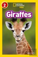 Giraffes