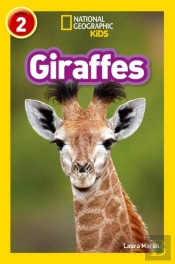 Giraffes