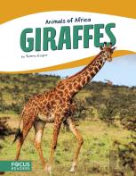 Giraffes